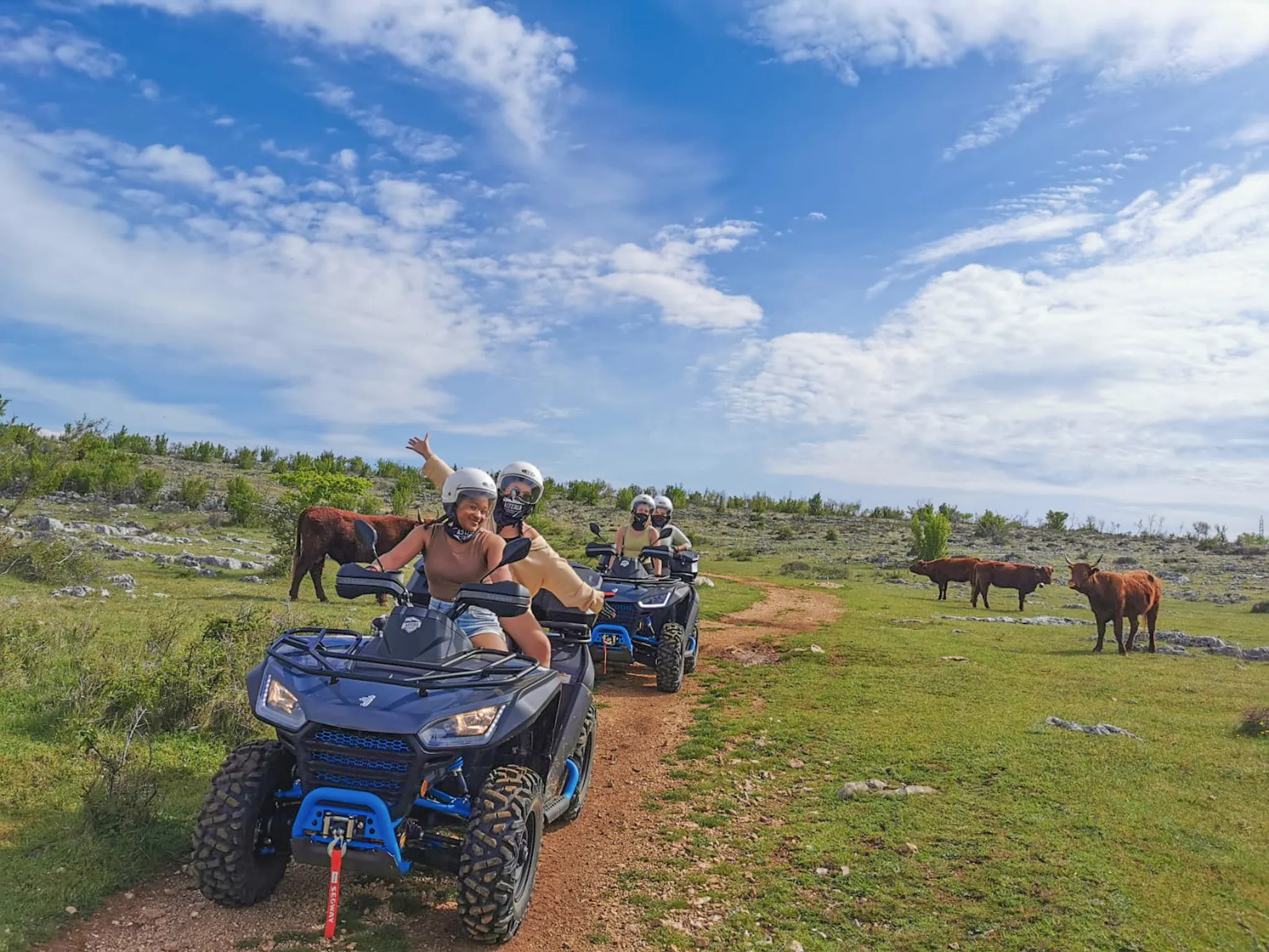 Wildlife Watching on ATV Tours: Animals You Might See in Dalmatia